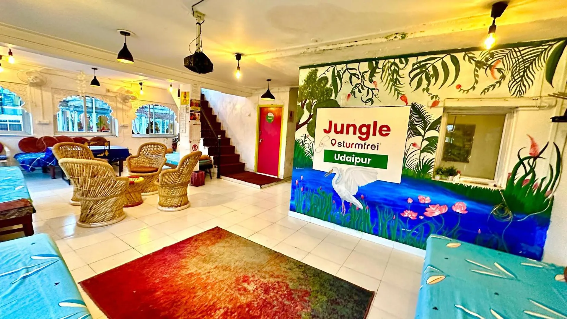 Hostel Jungle By Sturmfrei Udajpur