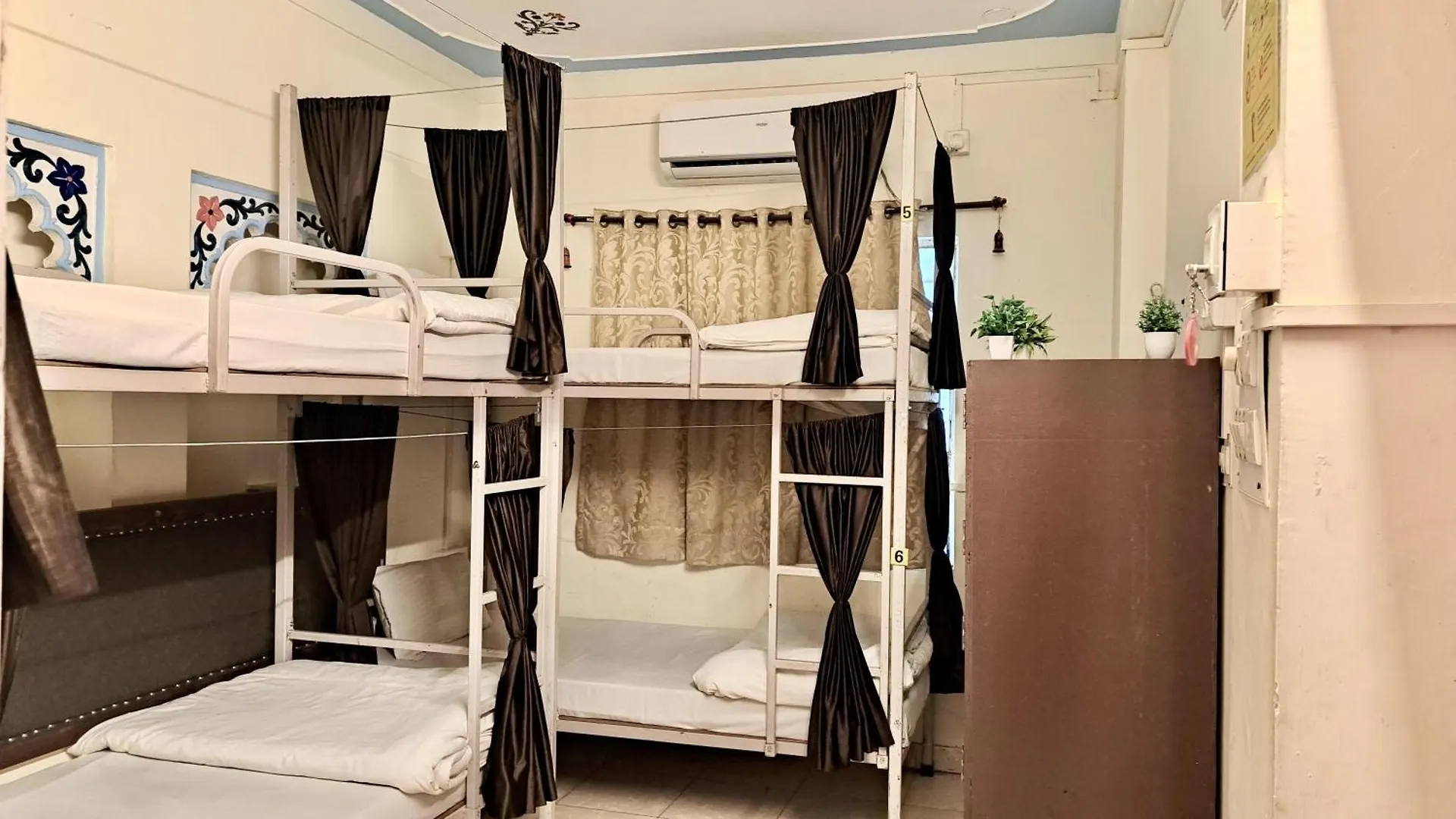 Hostel Jungle By Sturmfrei Udajpur