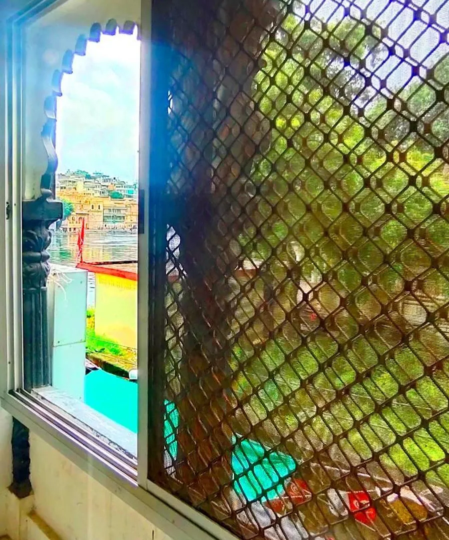 Hostel Jungle By Sturmfrei Udajpur Indie